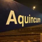 Aquincumi Múzeum és Régészeti Park Budapest - Egyéb