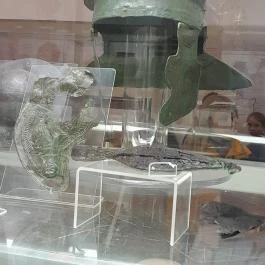 Aquincumi Múzeum és Régészeti Park Budapest - Egyéb