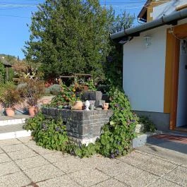 Bacchus Apartman Badacsony - Egyéb