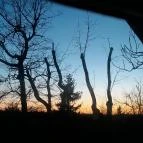 Báró Eötvös Loránd Turistaház Dobogókő - Egyéb