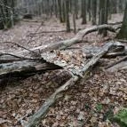 Báró Eötvös Loránd Turistaház Dobogókő - Egyéb