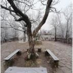 Báró Eötvös Loránd Turistaház Dobogókő - Egyéb