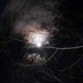 Báró Eötvös Loránd Turistaház Dobogókő - Egyéb