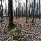 Báró Eötvös Loránd Turistaház Dobogókő - Egyéb