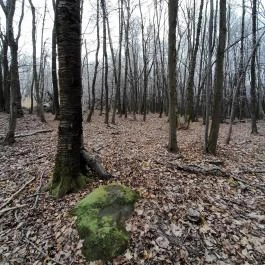 Báró Eötvös Loránd Turistaház Dobogókő - Egyéb