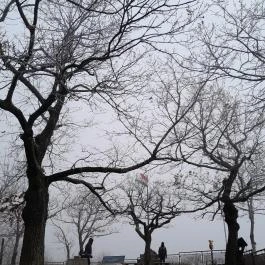 Báró Eötvös Loránd Turistaház Dobogókő - Egyéb