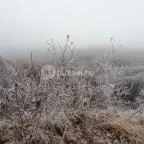 Báró Eötvös Loránd Turistaház Dobogókő - Egyéb