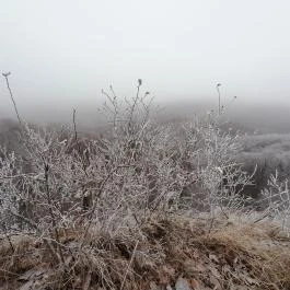 Báró Eötvös Loránd Turistaház Dobogókő - Egyéb