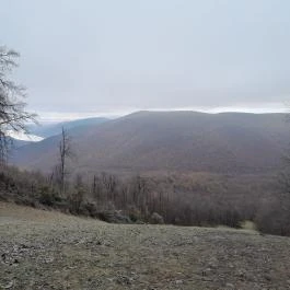 Báró Eötvös Loránd Turistaház Dobogókő - Egyéb
