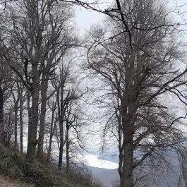 Báró Eötvös Loránd Turistaház Dobogókő - Egyéb