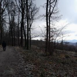Báró Eötvös Loránd Turistaház Dobogókő - Egyéb
