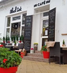 Black Cat Cafe