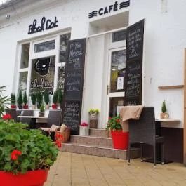 Black Cat Cafe Szolnok - Külső kép