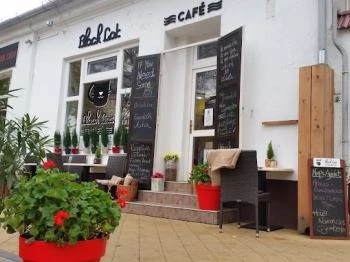 Black Cat Cafe Szolnok