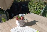 Bodza Fagylaltozó Tihany