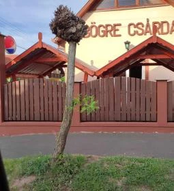 Bögre Csárda Étterem