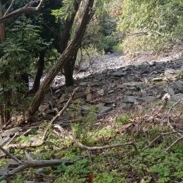 Bujdosók lépcsője, Badacsonytördemic - Egyéb