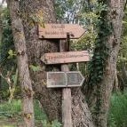 Bujdosók lépcsője Badacsonytördemic - Egyéb