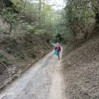 Bujdosók lépcsője Badacsonytördemic - Egyéb