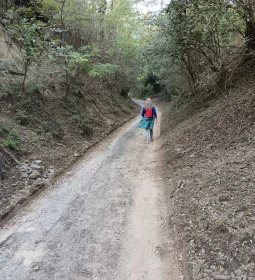 Bujdosók lépcsője