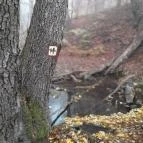 Bükkös-patak tanösvény Szentendre - Egyéb