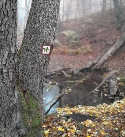 Bükkös-patak tanösvény