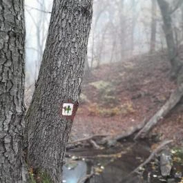 Bükkös-patak tanösvény, Szentendre - Egyéb