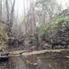 Bükkös-patak tanösvény Szentendre - Egyéb