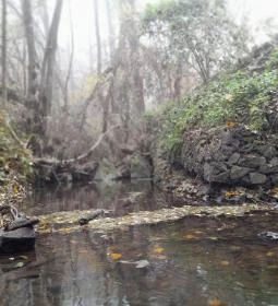 Bükkös-patak tanösvény