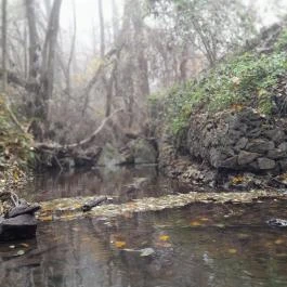 Bükkös-patak tanösvény, Szentendre - Egyéb