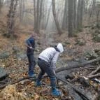 Bükkös-patak tanösvény Szentendre - Egyéb