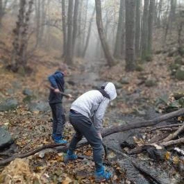Bükkös-patak tanösvény, Szentendre - Egyéb