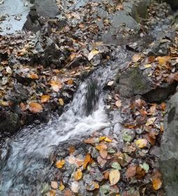 Bükkös-patak tanösvény