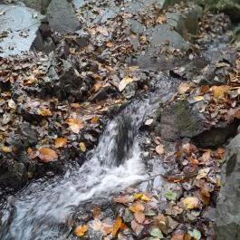 Bükkös-patak tanösvény, Szentendre - Egyéb