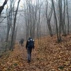 Bükkös-patak tanösvény Szentendre - Egyéb