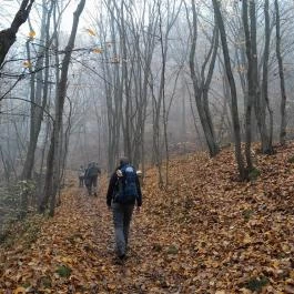 Bükkös-patak tanösvény, Szentendre - Egyéb