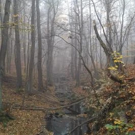 Bükkös-patak tanösvény, Szentendre - Egyéb
