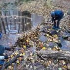 Bükkös-patak tanösvény Szentendre - Egyéb