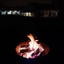 Bükkös-patak tanösvény, Szentendre - Egyéb