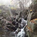 Bükkös-patak tanösvény Szentendre - Egyéb