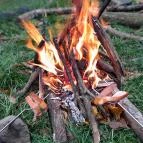 Bükkös-patak tanösvény Szentendre - Egyéb