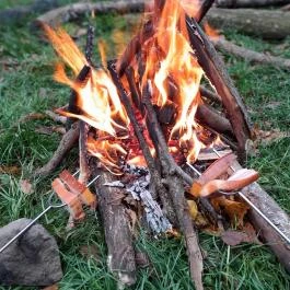 Bükkös-patak tanösvény, Szentendre - Egyéb