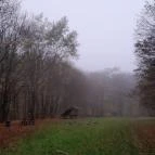 Bükkös-patak tanösvény Szentendre - Egyéb