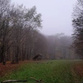 Bükkös-patak tanösvény, Szentendre - Egyéb