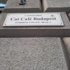 Cat Café - Révay utca Budapest - Egyéb