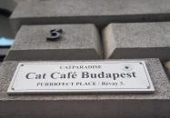 Cat Café - Révay utca Budapest