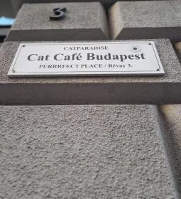 Cat Café - Révay utca
