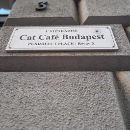Cat Café - Révay utca Budapest - Egyéb