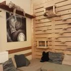 Cat Café - Révay utca Budapest - Egyéb