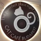Cat Café - Révay utca Budapest - Egyéb